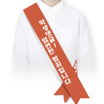 [이든교육] 사이버폭력예방 캠페인용 어깨띠 10장세트 SR (택1)