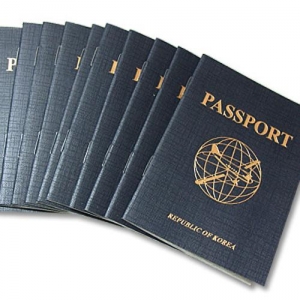[리틀램스쿨] 역할놀이 여권 Blue (10개)