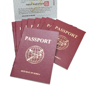 [리틀램스쿨] 역할놀이 여권 Red (10개)
