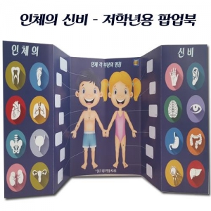 [매직북스] 인체팝업북-저학년용(북아트)